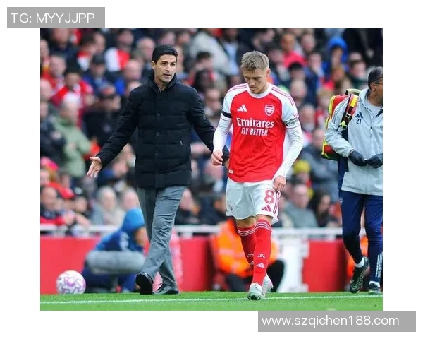 厄德高在国际赛场的崛起与影响力分析及未来发展展望