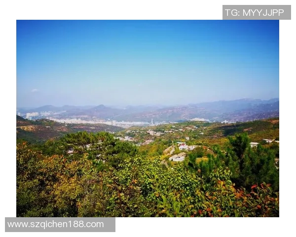 山神山行与岐路交汇的神秘探寻之旅