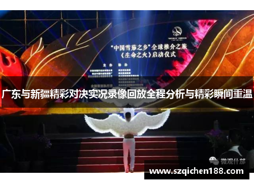 广东与新疆精彩对决实况录像回放全程分析与精彩瞬间重温